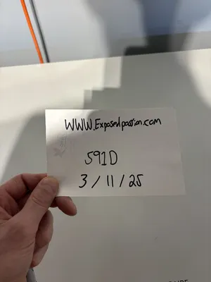 Verification 