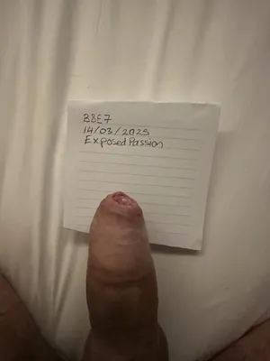 Verification 