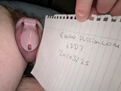 Verification 