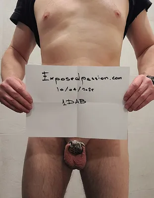 verify 