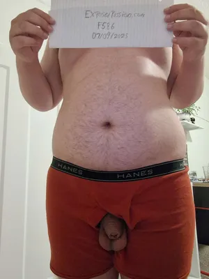 Verification Attempt 2