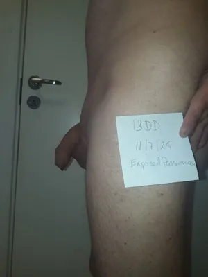 Verification 