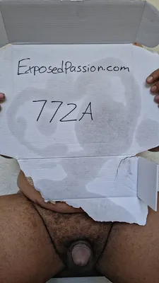 Verification