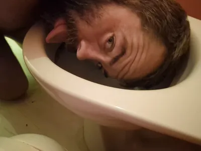 as said in the comment toilet licking