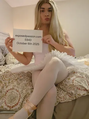 E843 - Verification brenna