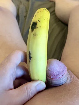 tiny piggy clitty comparison