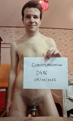 D486-verification pic
