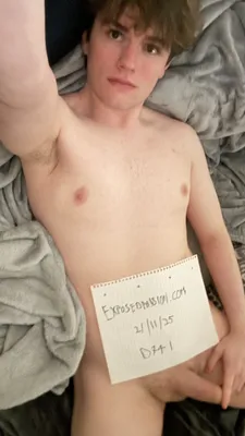 D741-Verification 