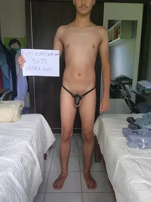 5293-Verification