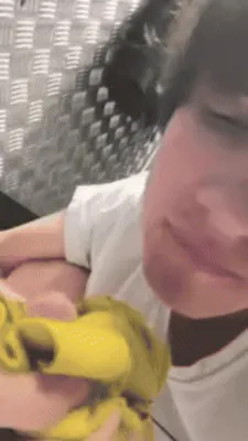 Stupid toilet fag