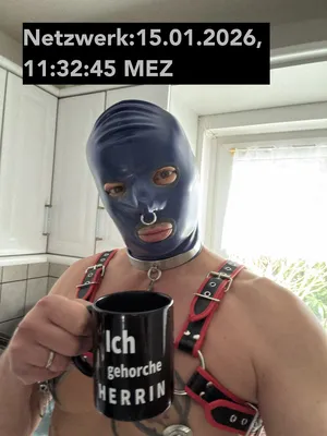 Kontrollbild der Gummisau - Ki(c)k me: mux247