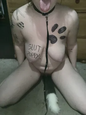 Marked puppy