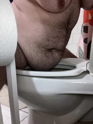 Fat pig hump toilet