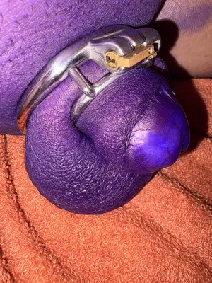 Pig Slave punished by paint little cocks