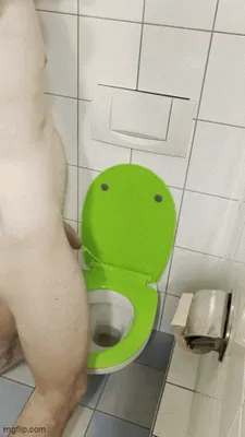 toilet pig