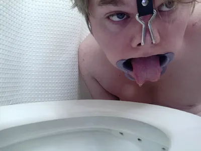 Permanent Toilet Fag