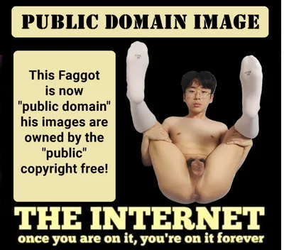 korean faggot exposed meme