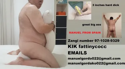 Fat spanish pig