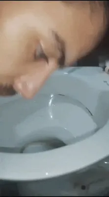 Licking the toilet