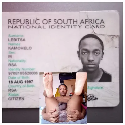 South African Monkey Faggot ID