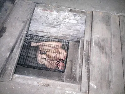 Slave Bondage1999
