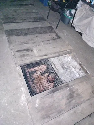 Slave Bondage1999