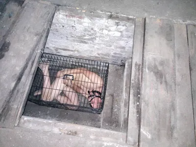 Slave Bondage1999