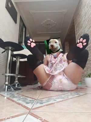 Diaper sissy kitten