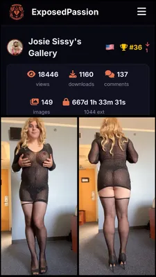 150 Uploads Later And This Is How Far It Has Gone