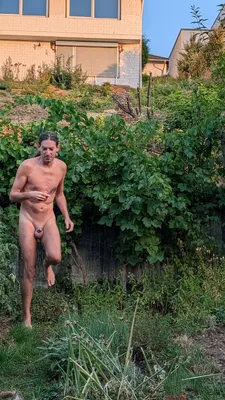In the garden