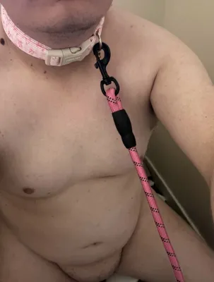 Leashed like a good pet