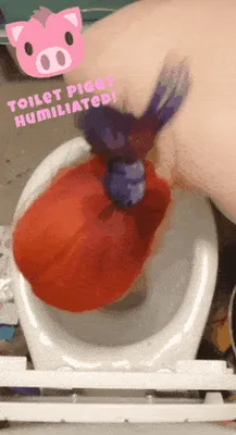 Emily the toilet pig punished and humiliated!