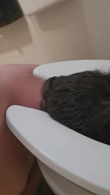 Head in Public Toilet