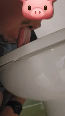 Piggy Tastes Another Toilet