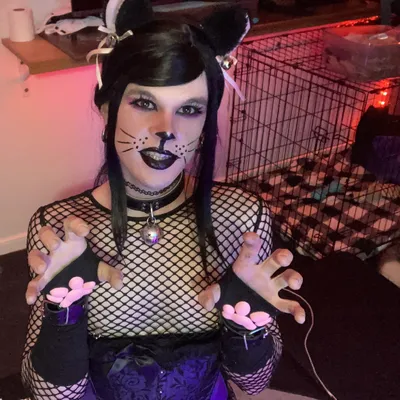 kitty kitty kitty!