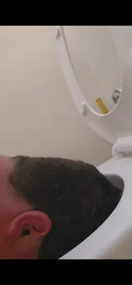 Piggy Loves Toilets