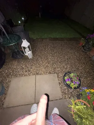 19 sub jerking in garden with flash on
