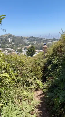 City Hike