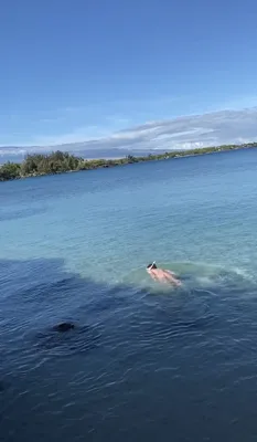 Snorkeling