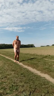 on the way from one forest to the next
