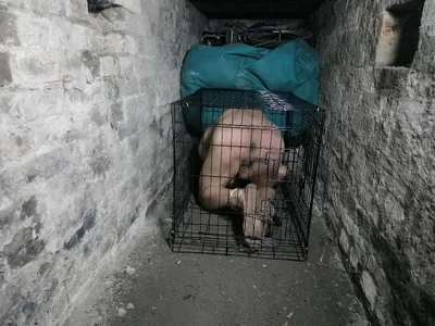 Slave Bondage1999