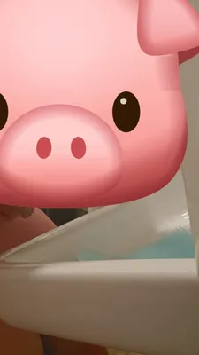 Cleaning Public Urinal