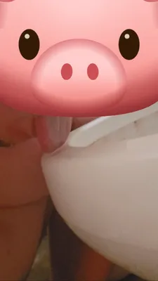 Public Potty Pig