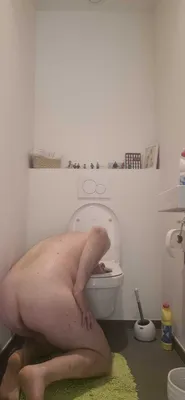 TOILET SLUT