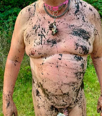 muddy piggy