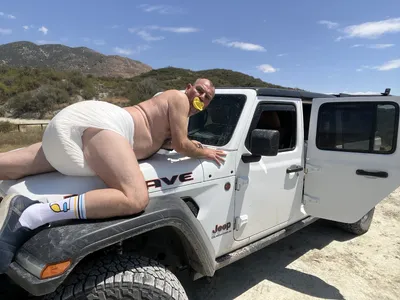 Hood ornament